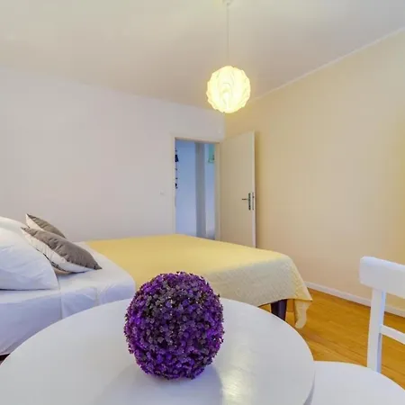 Charmante Und Susse Vito In Apartment